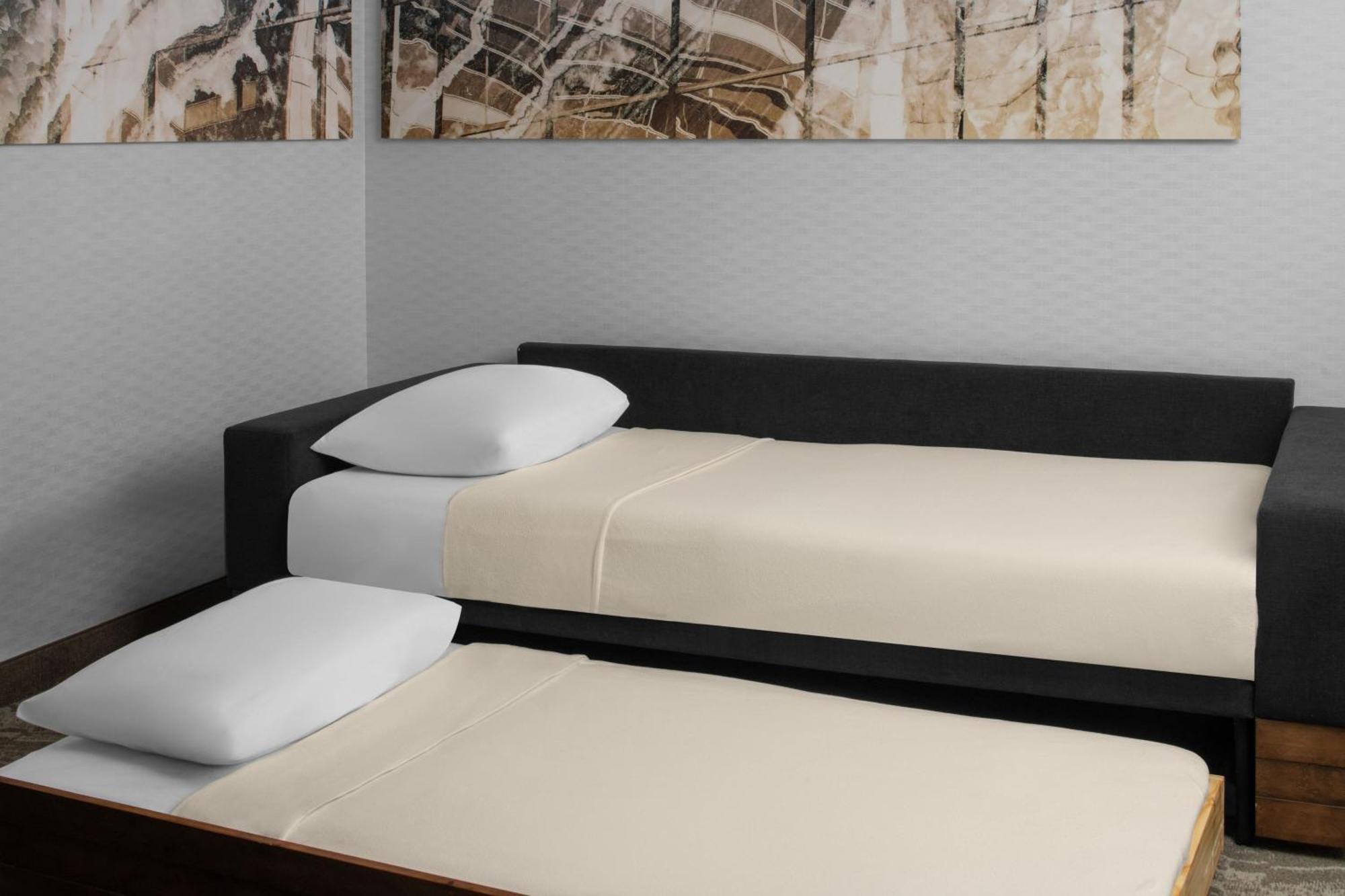 Springhill Suites Pittsburgh Southside Works מראה חיצוני תמונה