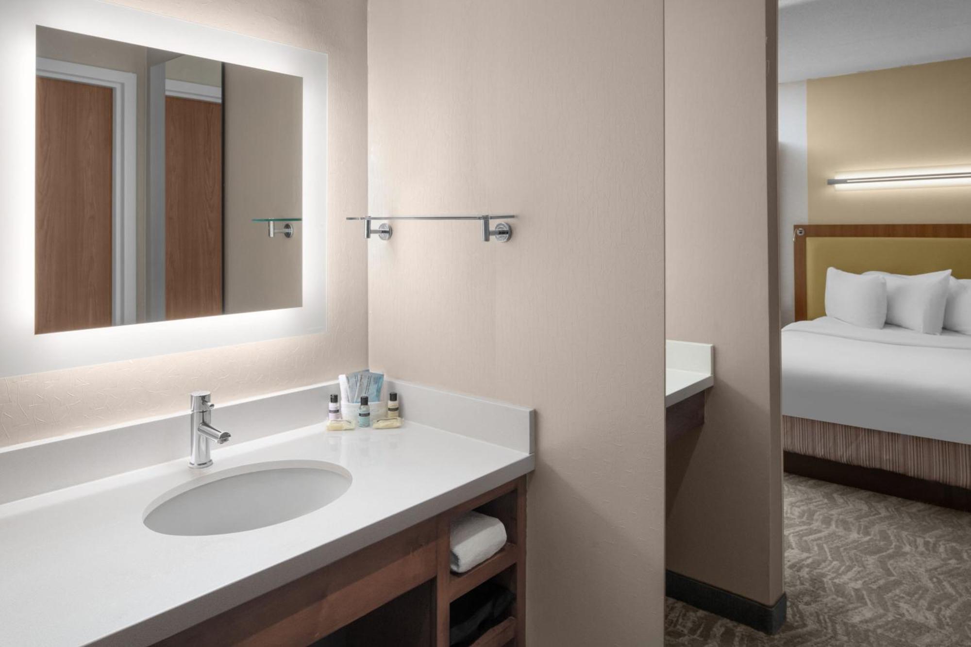 Springhill Suites Pittsburgh Southside Works מראה חיצוני תמונה