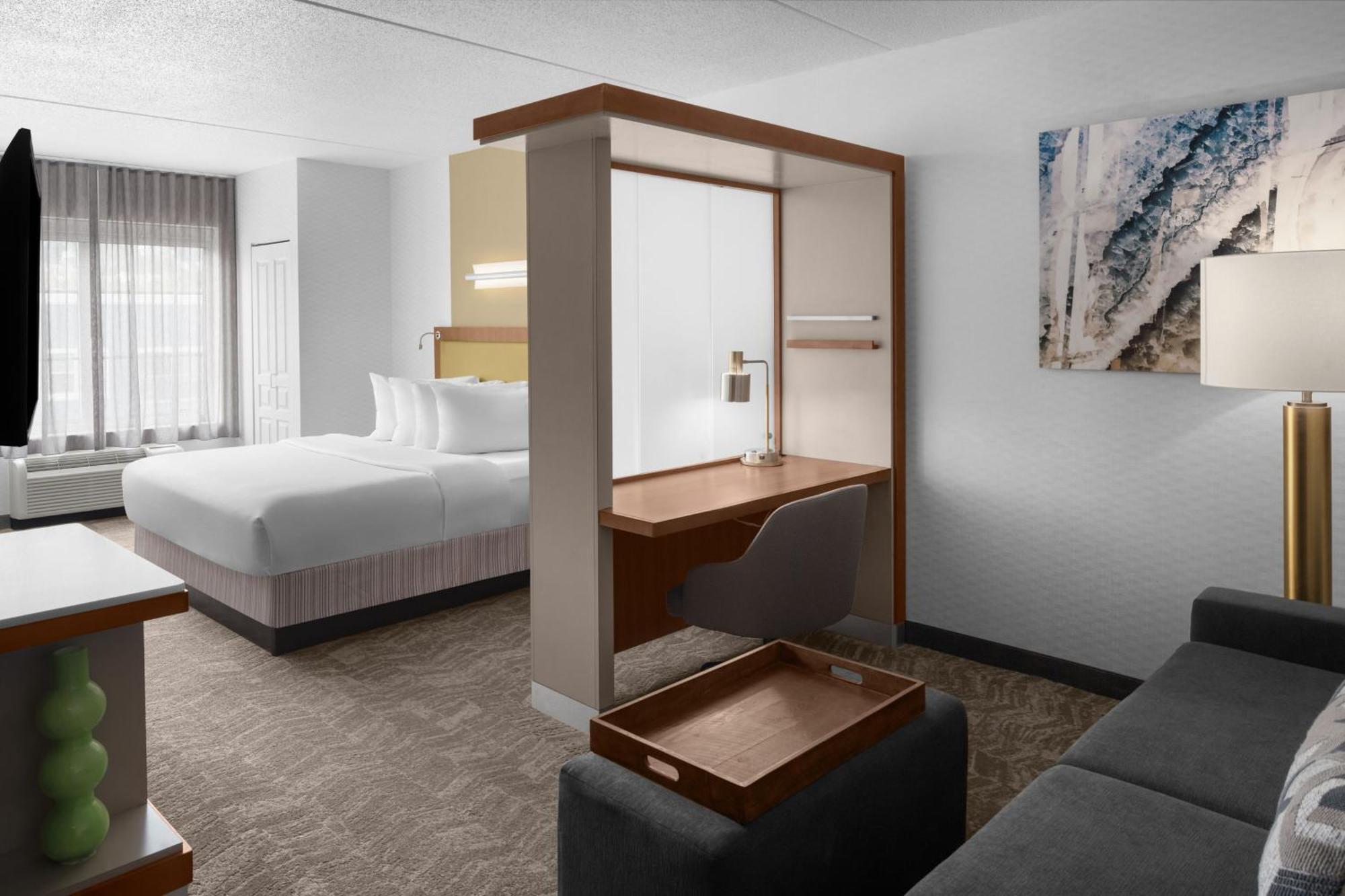 Springhill Suites Pittsburgh Southside Works מראה חיצוני תמונה