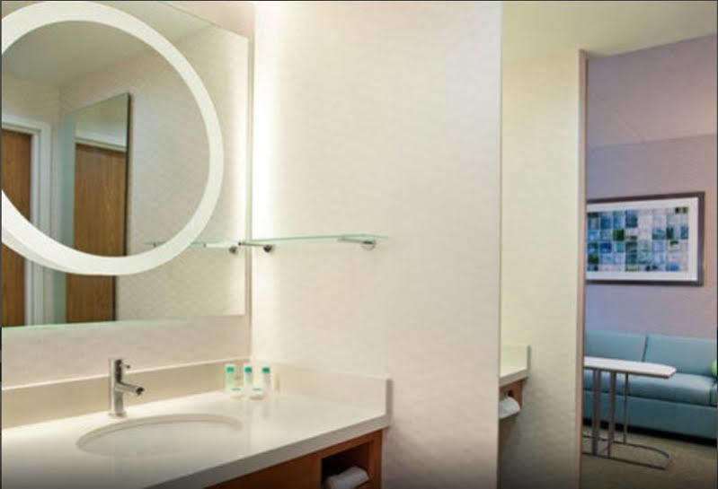 Springhill Suites Pittsburgh Southside Works מראה חיצוני תמונה